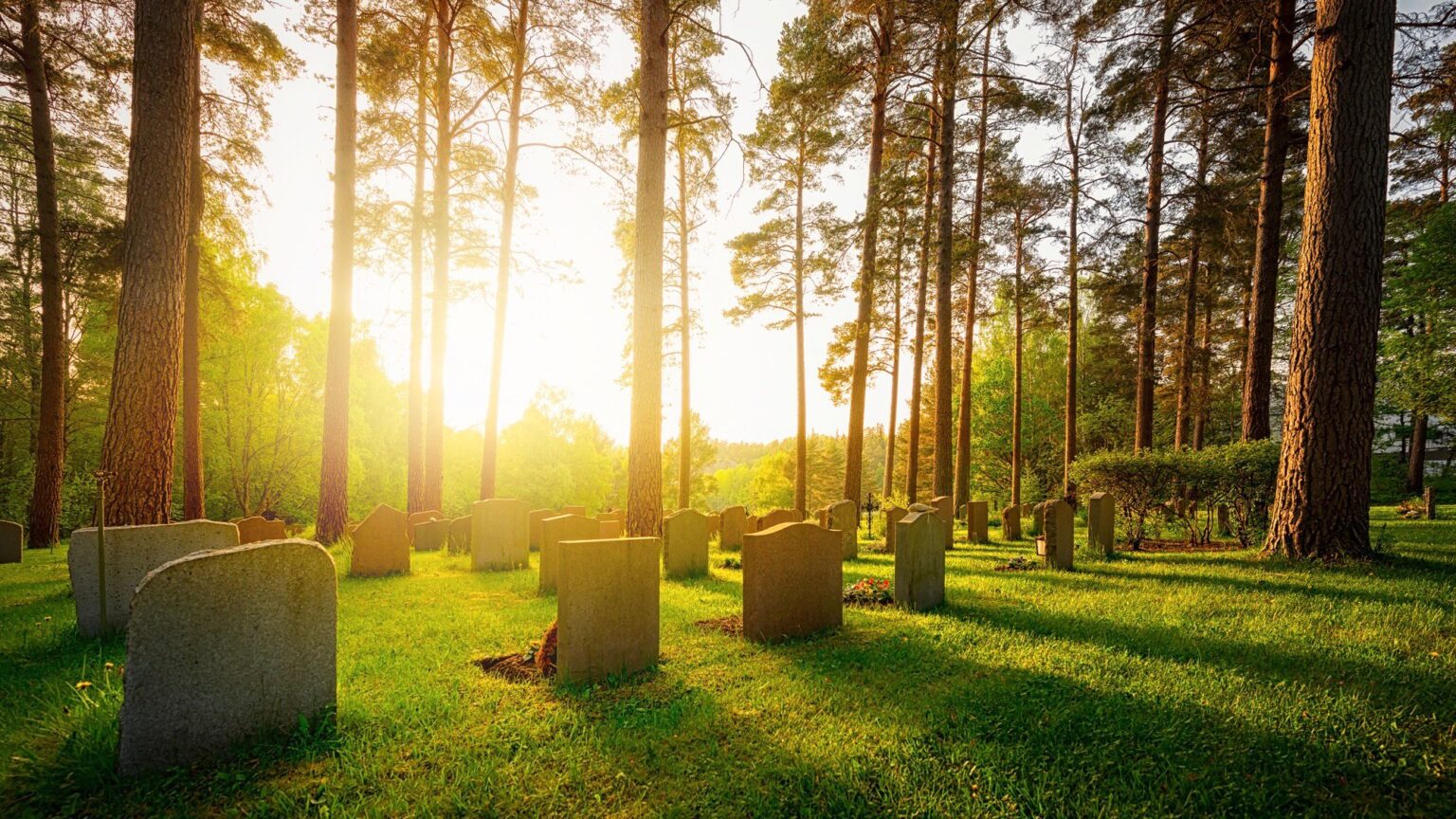 Cremation or casket? Here’s the most eco-friendly burial option ...